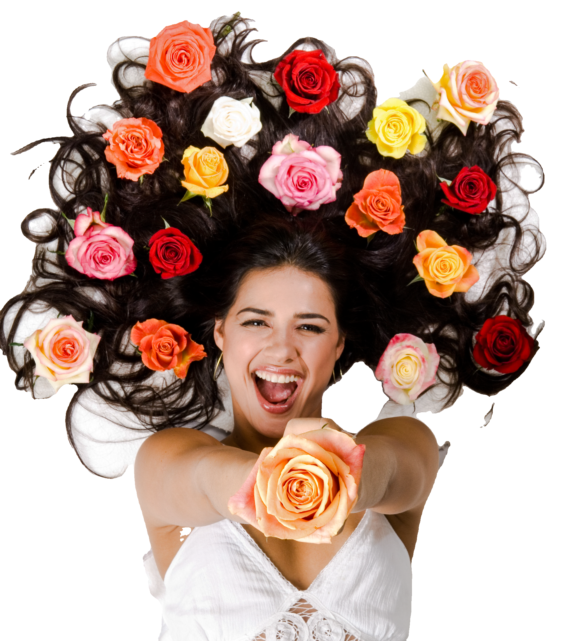 Hauptblumen & Rosen
