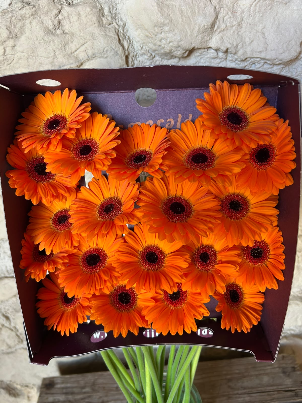 Germini 'Allure' (Mini-Gerbera) – Das leuchtende Hochzeitshighlight in sattem Orange (10er-Bund)