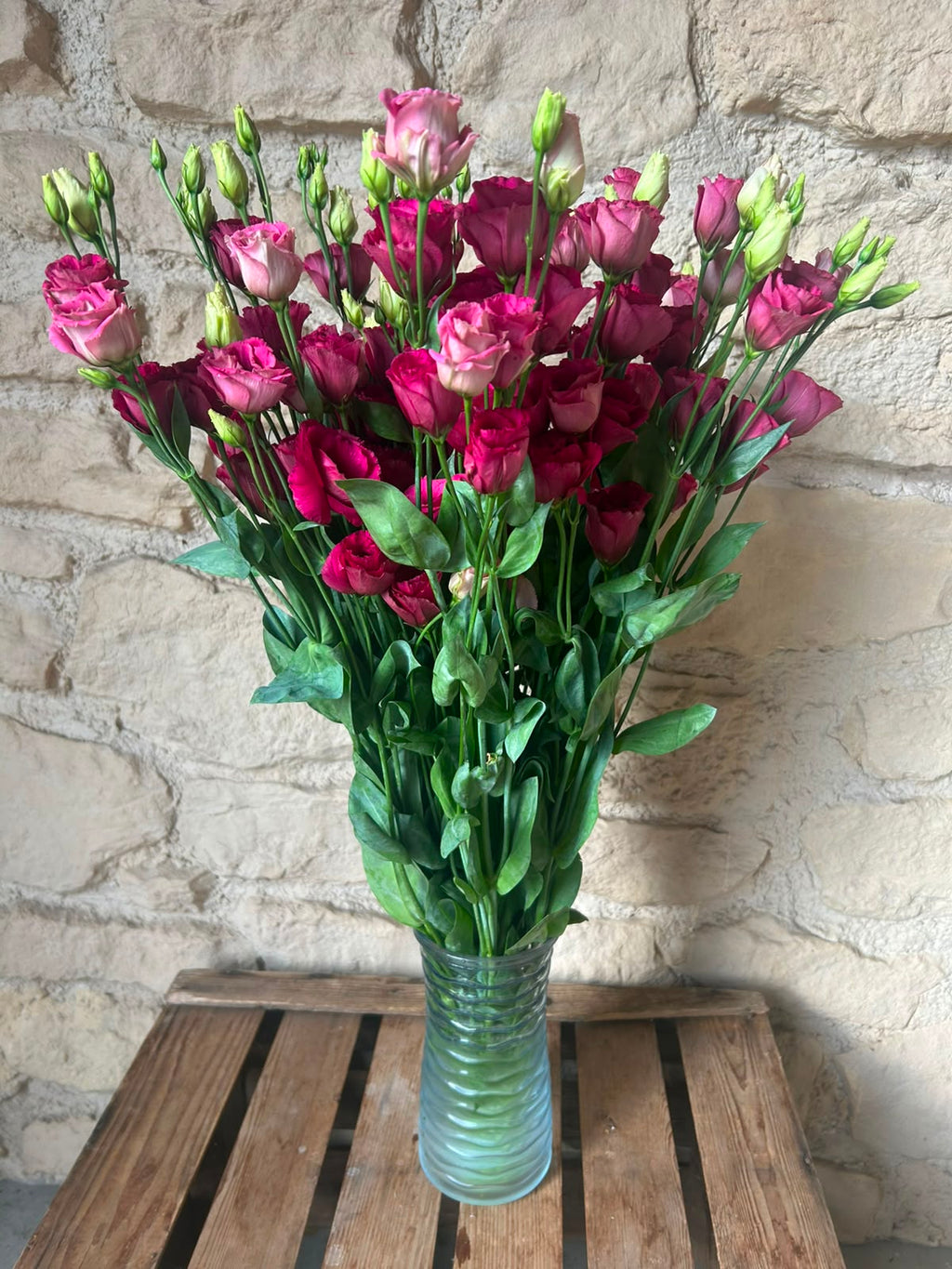 Lisianthus Arosa Red – Samtrot | 10 Stiele