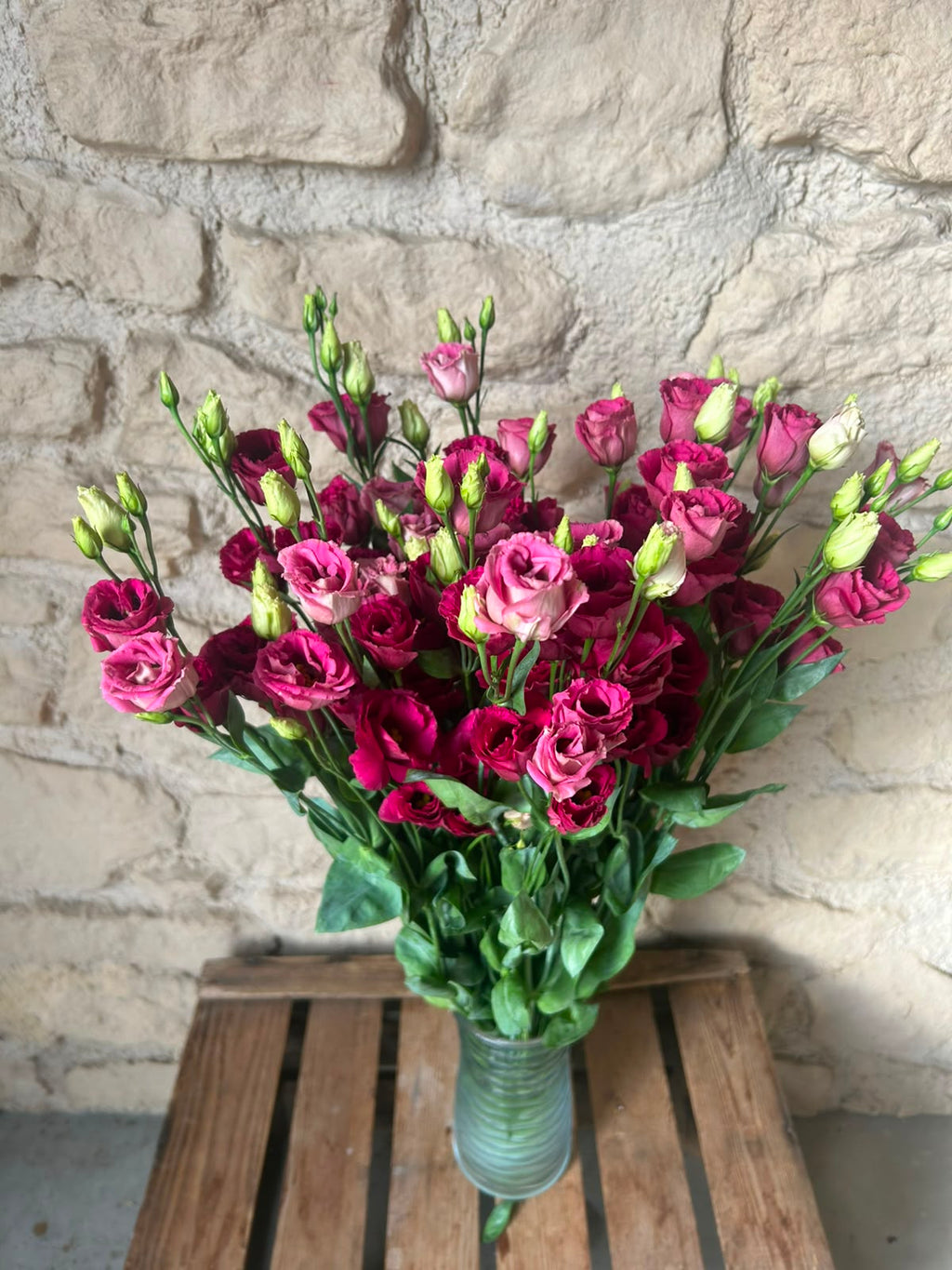 Lisianthus Arosa Red – Samtrot | 10 Stiele