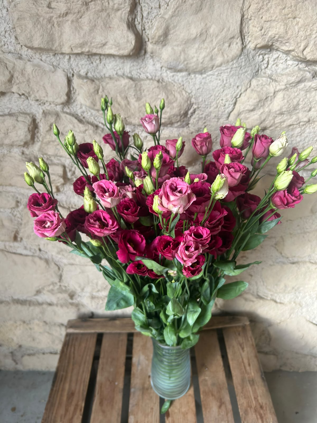 Lisianthus Arosa Red – Samtrot | 10 Stiele