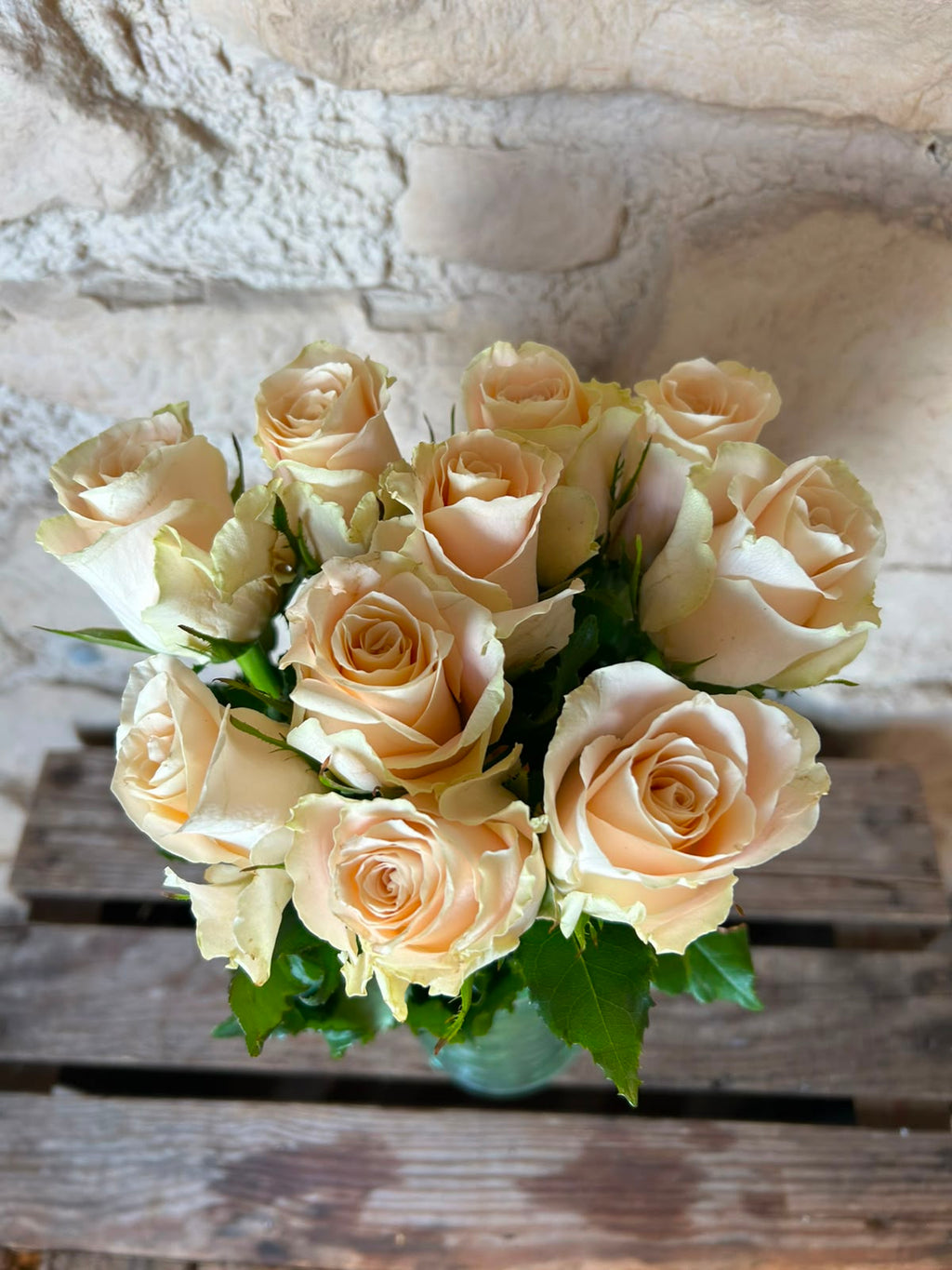 Rose 'Charmant' (Creme) – Die zeitlose Eleganz in edlem Elfenbein für klassische Hochzeitskreationen (10er-Bund / 40 cm)