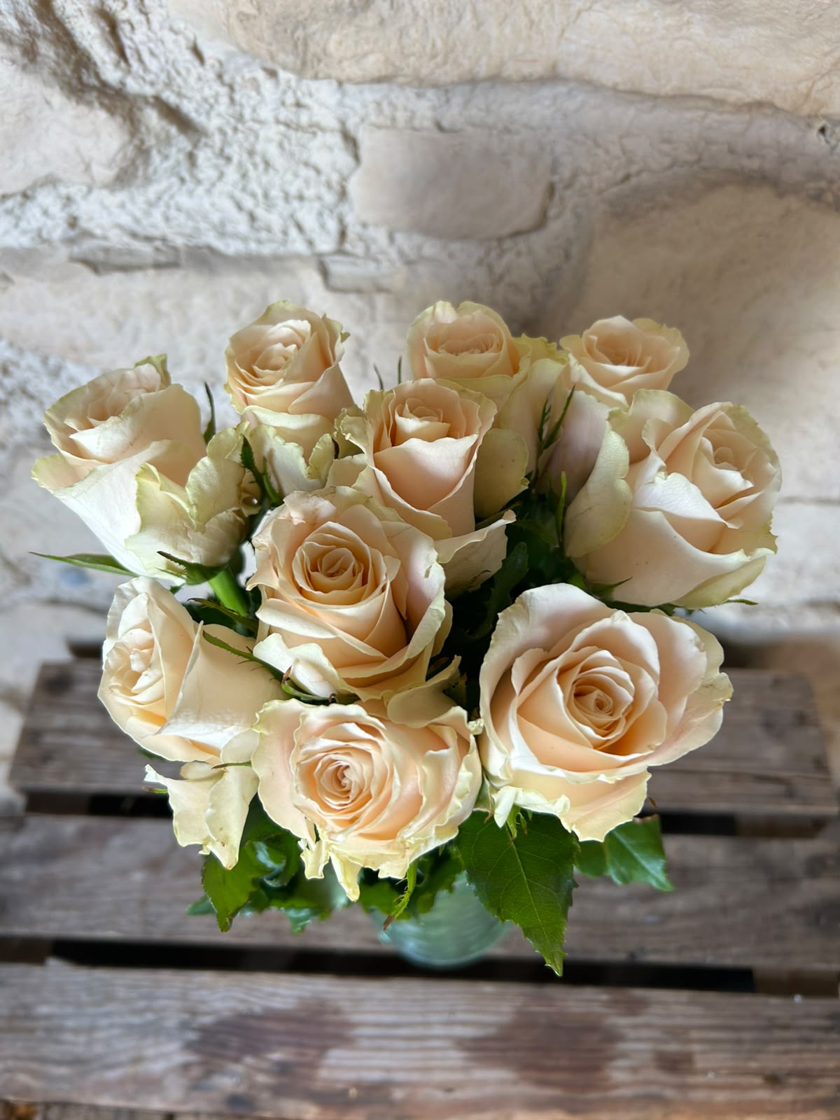 Rose 'Charmant' (Creme) – Die zeitlose Eleganz in edlem Elfenbein für klassische Hochzeitskreationen (10er-Bund / 40 cm)
