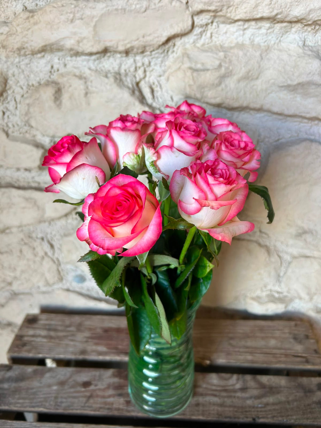 Rose 'Jumilia' (Weiß-Pink) – Der extravagante Eyecatcher mit spektakulärem Farbkontrast für moderne DIY-Hochzeiten (10er-Bund / 40 /50 cm)