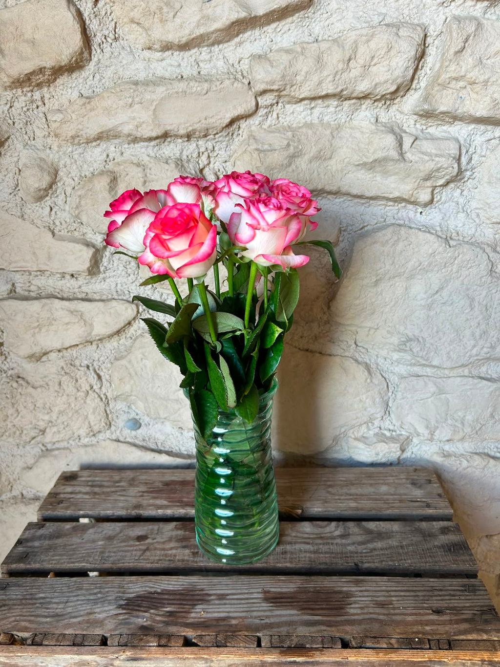 Rose 'Jumilia' (Weiß-Pink) – Der extravagante Eyecatcher mit spektakulärem Farbkontrast für moderne DIY-Hochzeiten (10er-Bund / 40 /50 cm)