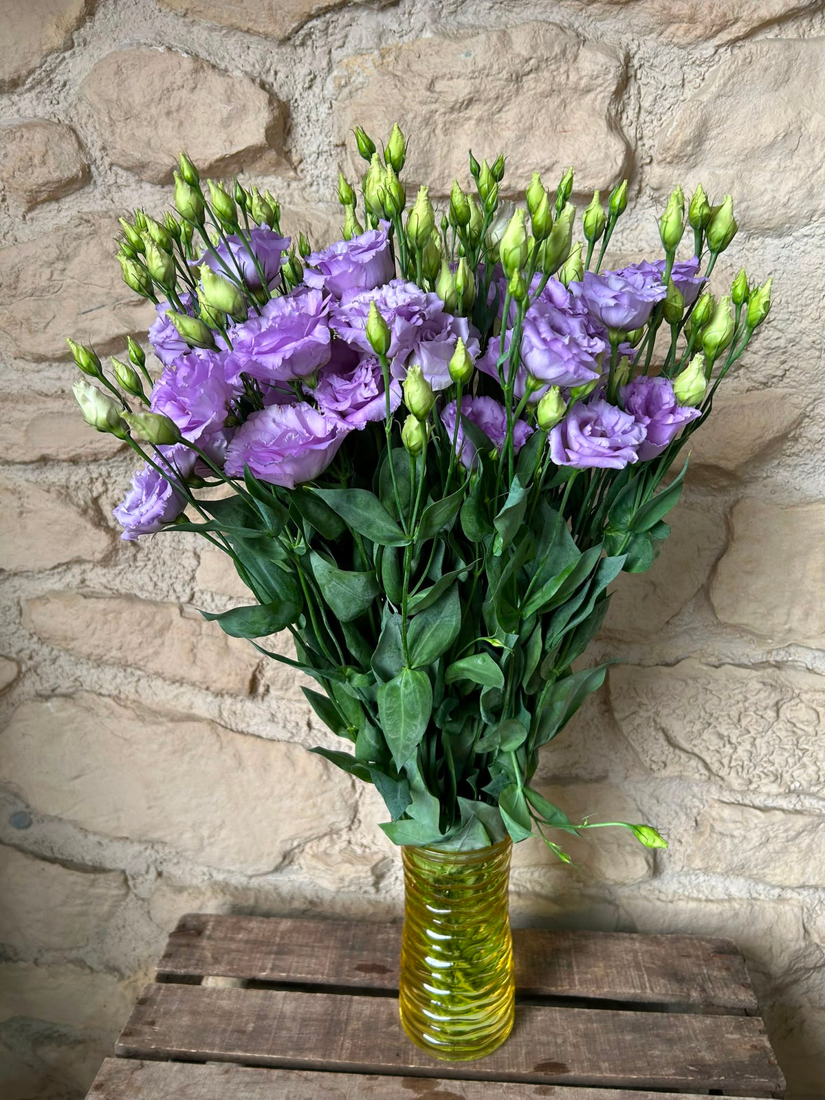 Lisianthus Corelli Lavender – Eustoma in Helllila | 10 Stiele