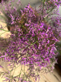 Limonium 'Blue Classic' – Das filigrane Wolkenwunder in edlem Violett-Blau für charakterstarke Dekorationen (5 Stiele im Bund)