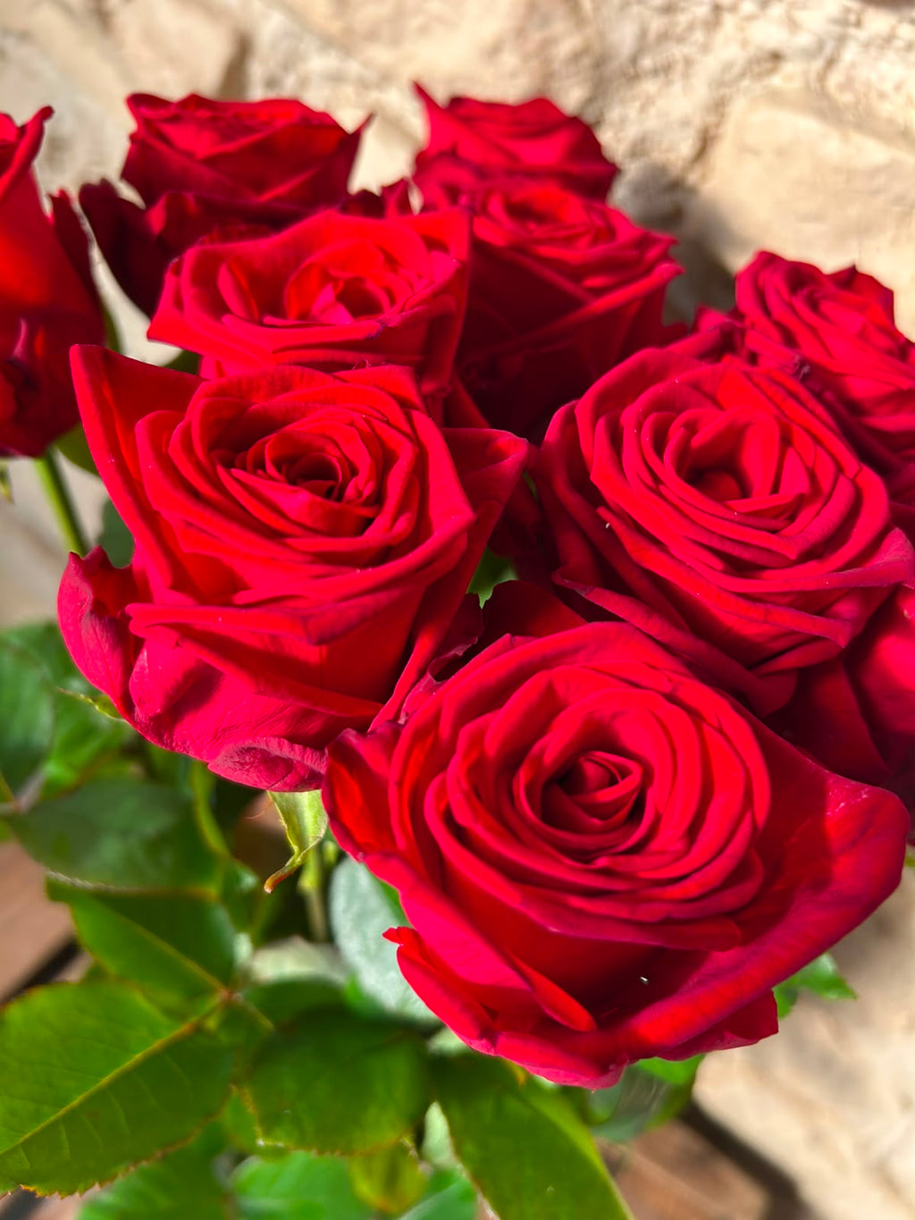 Rose Red Naomi – Premium-Rose Rot | 10 Stiele