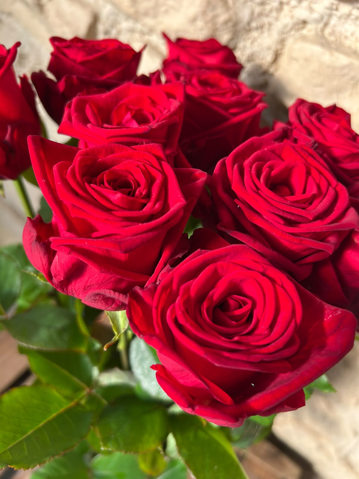 Rose Red Naomi – Premium-Rose Rot | 10 Stiele