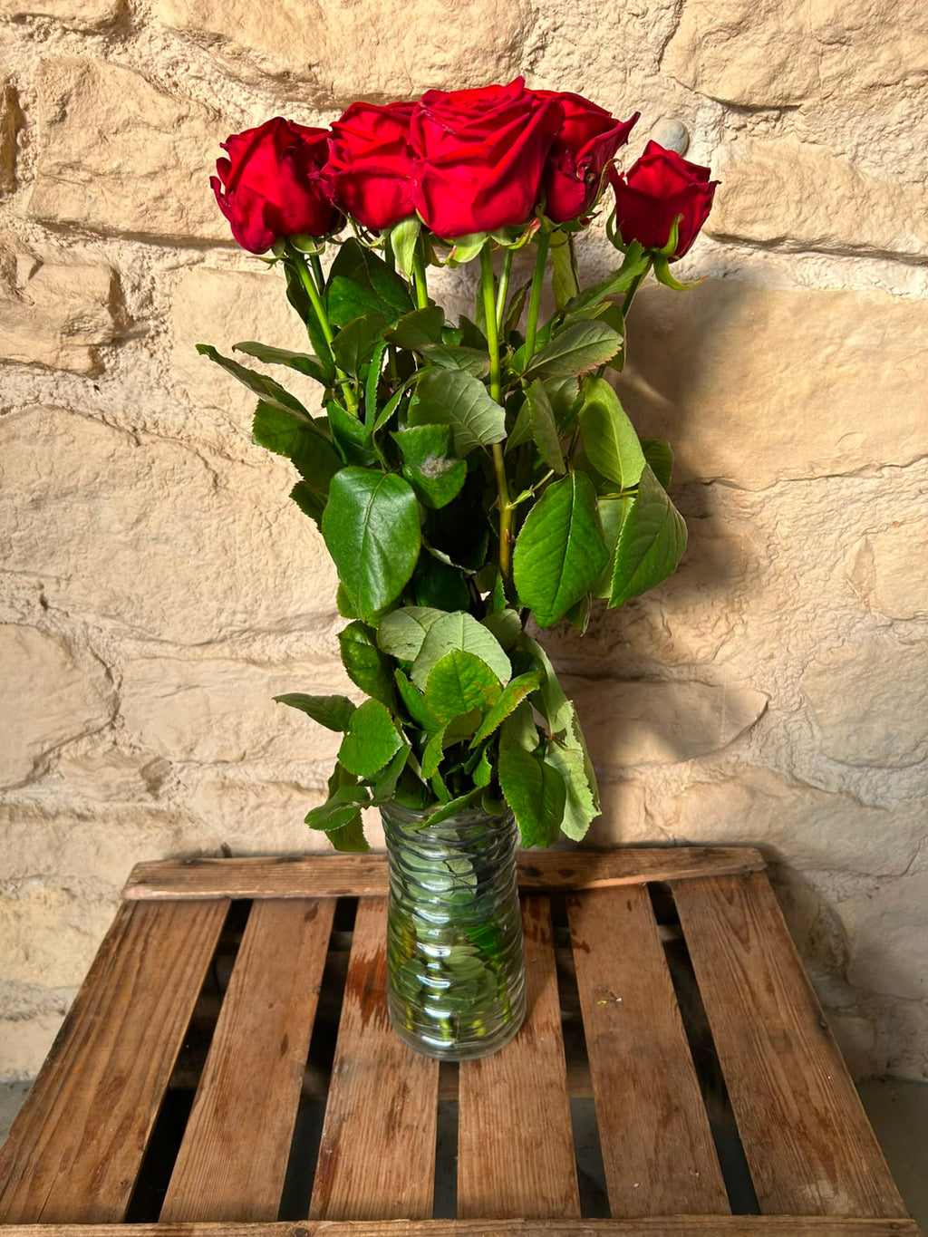 Rose Red Naomi – Premium-Rose Rot | 10 Stiele