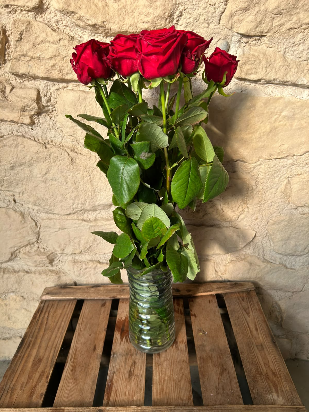 Rose Red Naomi – Premium-Rose Rot | 10 Stiele