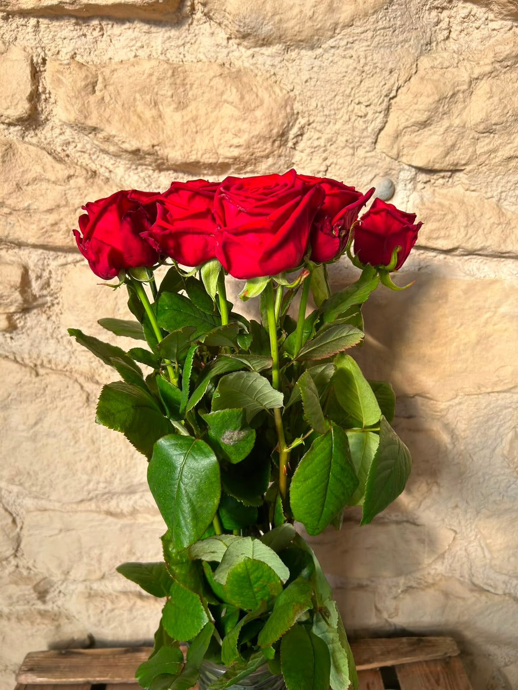 Rose Red Naomi – Premium-Rose Rot | 10 Stiele
