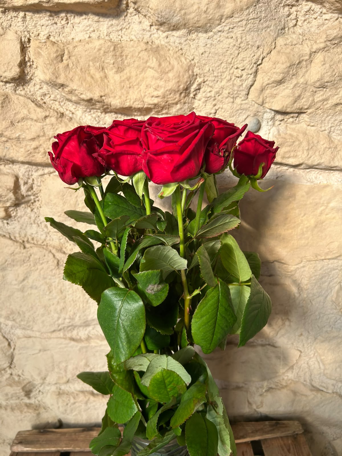 Rose Red Naomi – Premium-Rose Rot | 10 Stiele