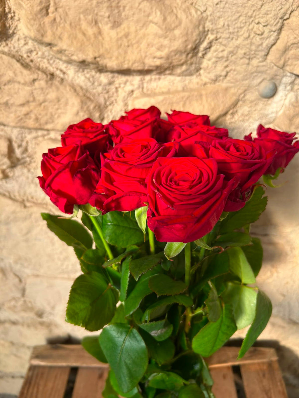 Rose Red Naomi – Premium-Rose Rot | 10 Stiele