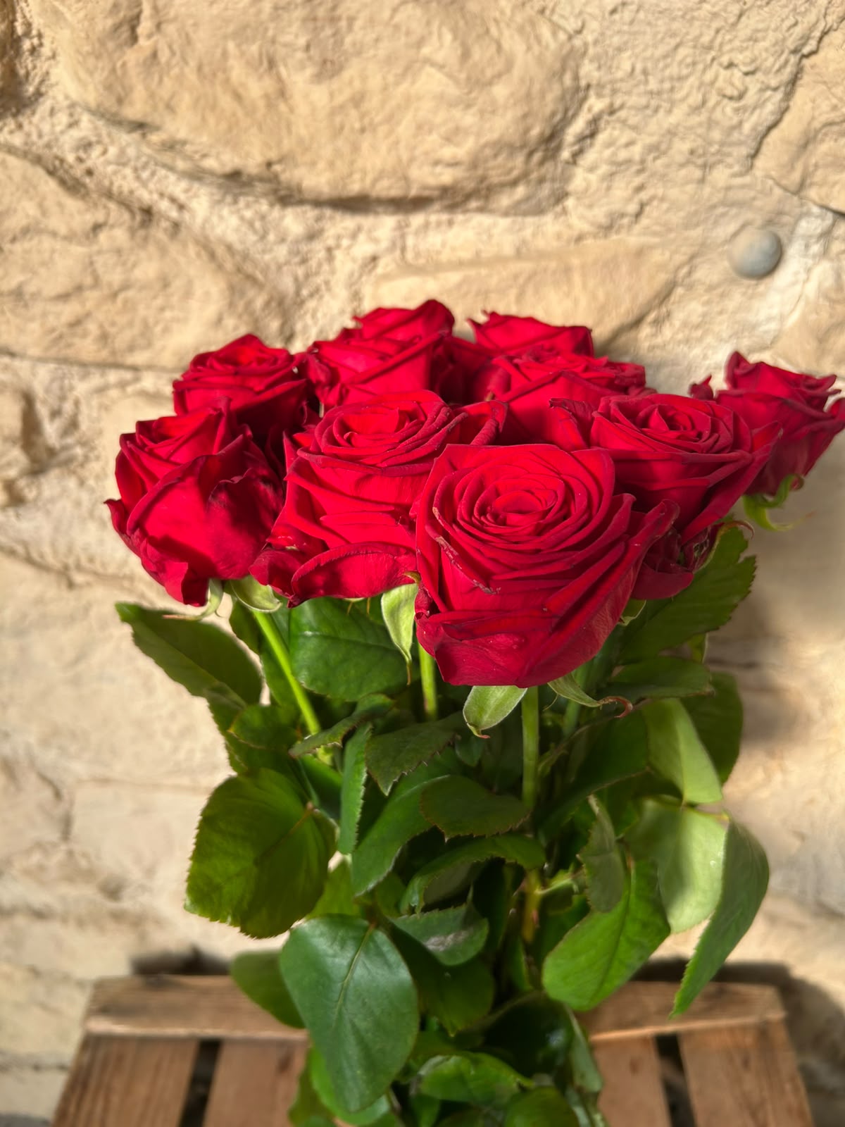 Rose Red Naomi – Premium-Rose Rot | 10 Stiele