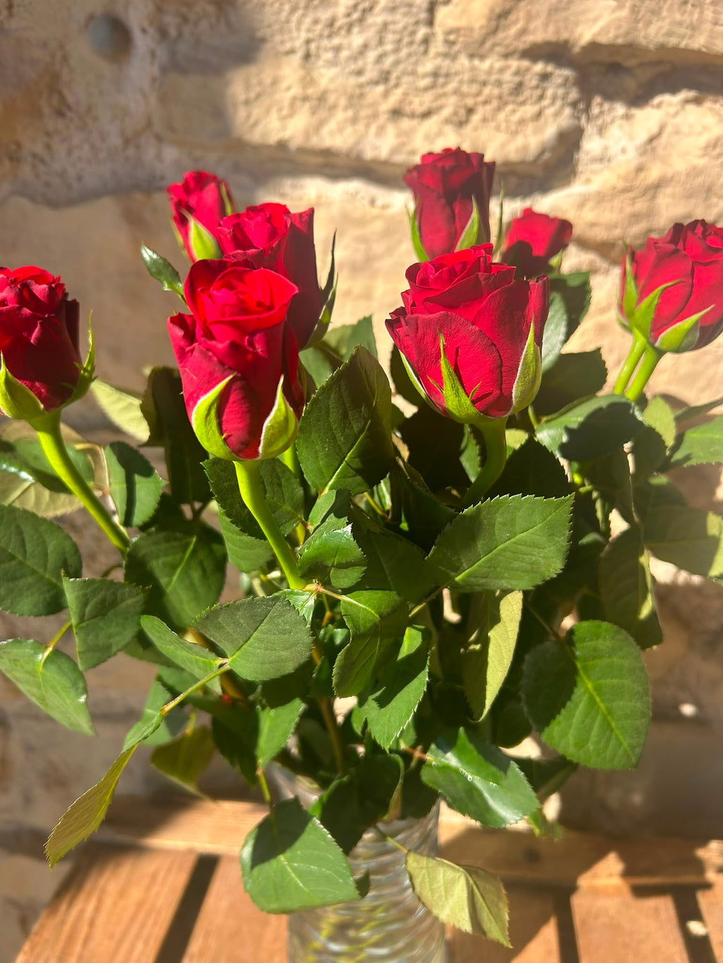 Rose 'Red Ribbon' (Rot) – Der langlebige Liebes-Klassiker in kräftigem Signalrot für zeitlose Dekorationen (10er-Bund / 50 cm)