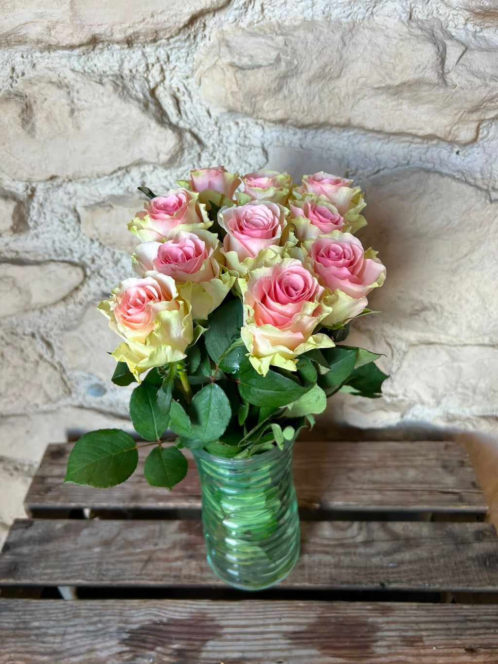 Rose 'Top Gear' (Creme-Rosa) – Das romantische Farbspiel mit edlem Vintage-Charme für traumhafte DIY-Hochzeiten (10er-Bund9