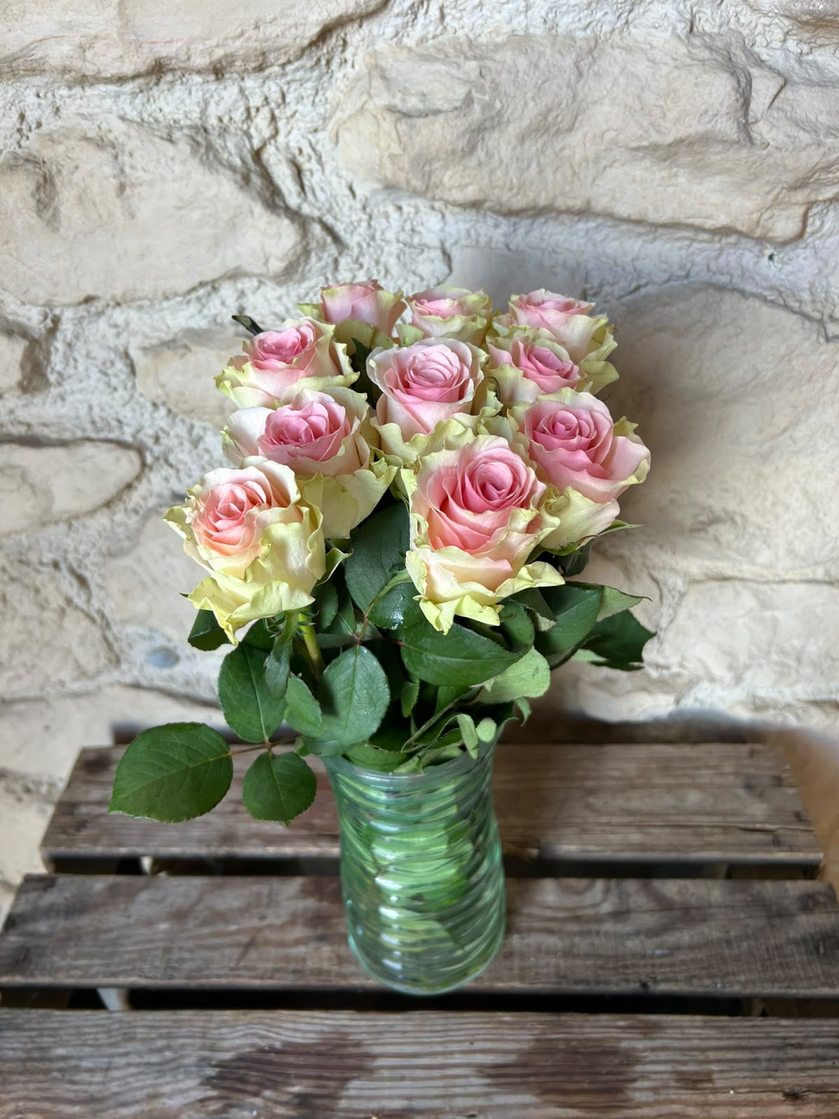 Rose 'Top Gear' (Creme-Rosa) – Das romantische Farbspiel mit edlem Vintage-Charme für traumhafte DIY-Hochzeiten (10er-Bund9