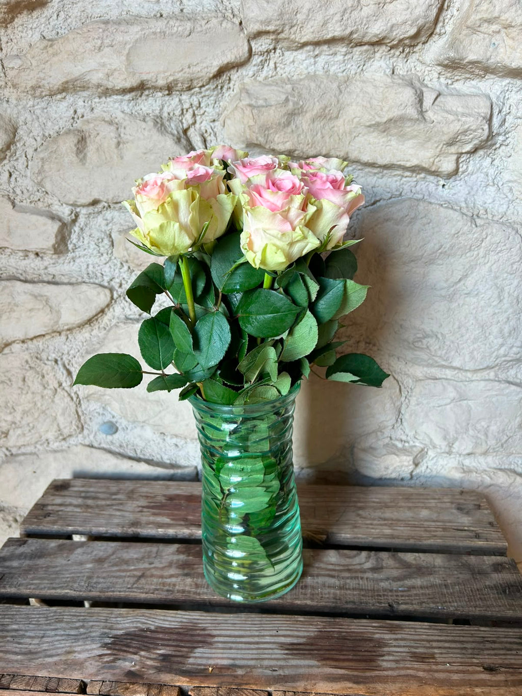 Rose 'Top Gear' (Creme-Rosa) – Das romantische Farbspiel mit edlem Vintage-Charme für traumhafte DIY-Hochzeiten (10er-Bund9