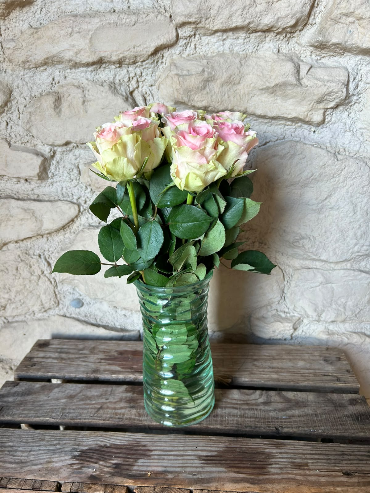 Rose 'Top Gear' (Creme-Rosa) – Das romantische Farbspiel mit edlem Vintage-Charme für traumhafte DIY-Hochzeiten (10er-Bund9