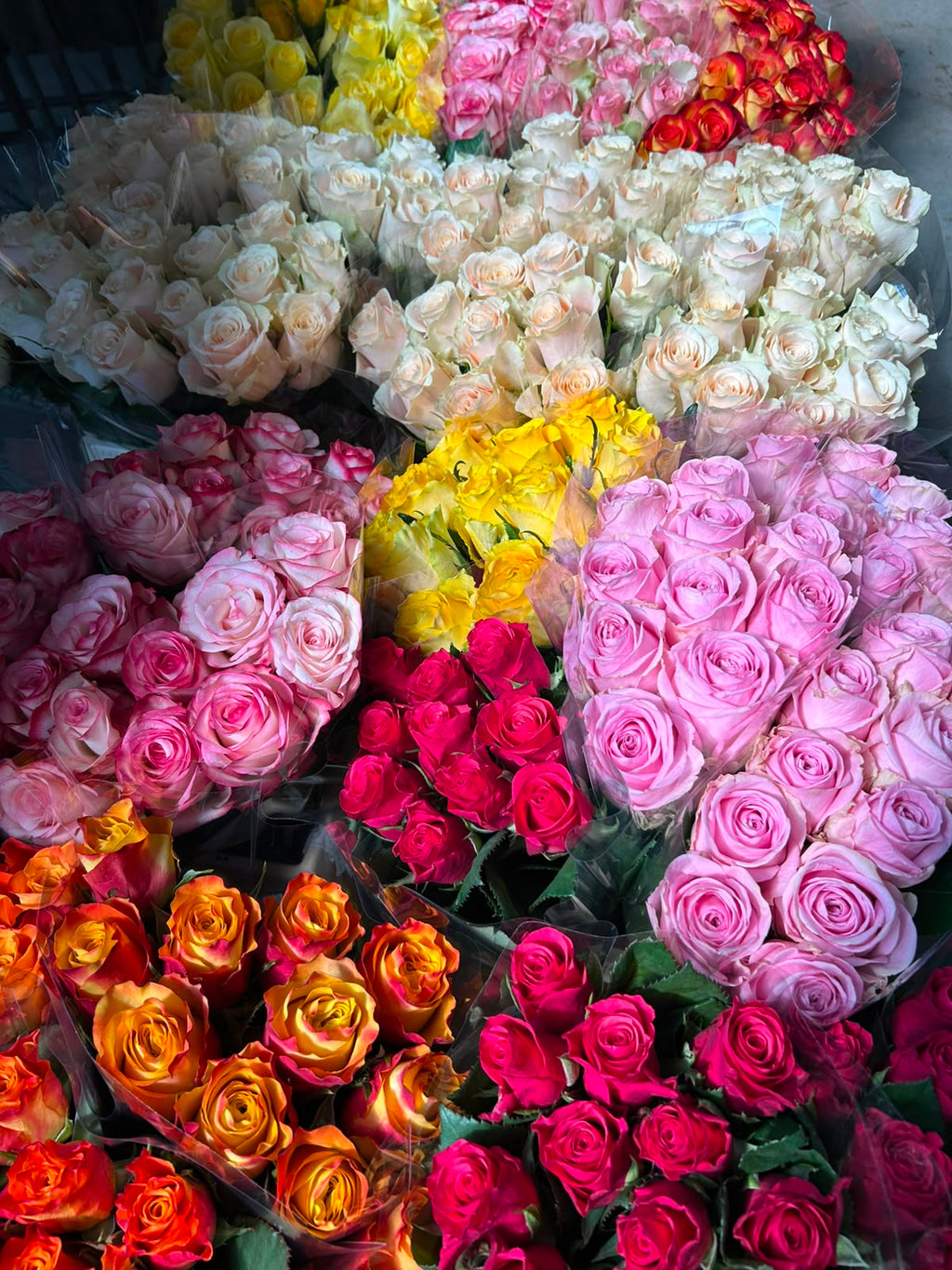 Casa Bella Rosa Schnupper-Box (Frischer Blumen- & Grün-Mix) – Dein XL-Überraschungspaket in echter Floristen-Qualität
