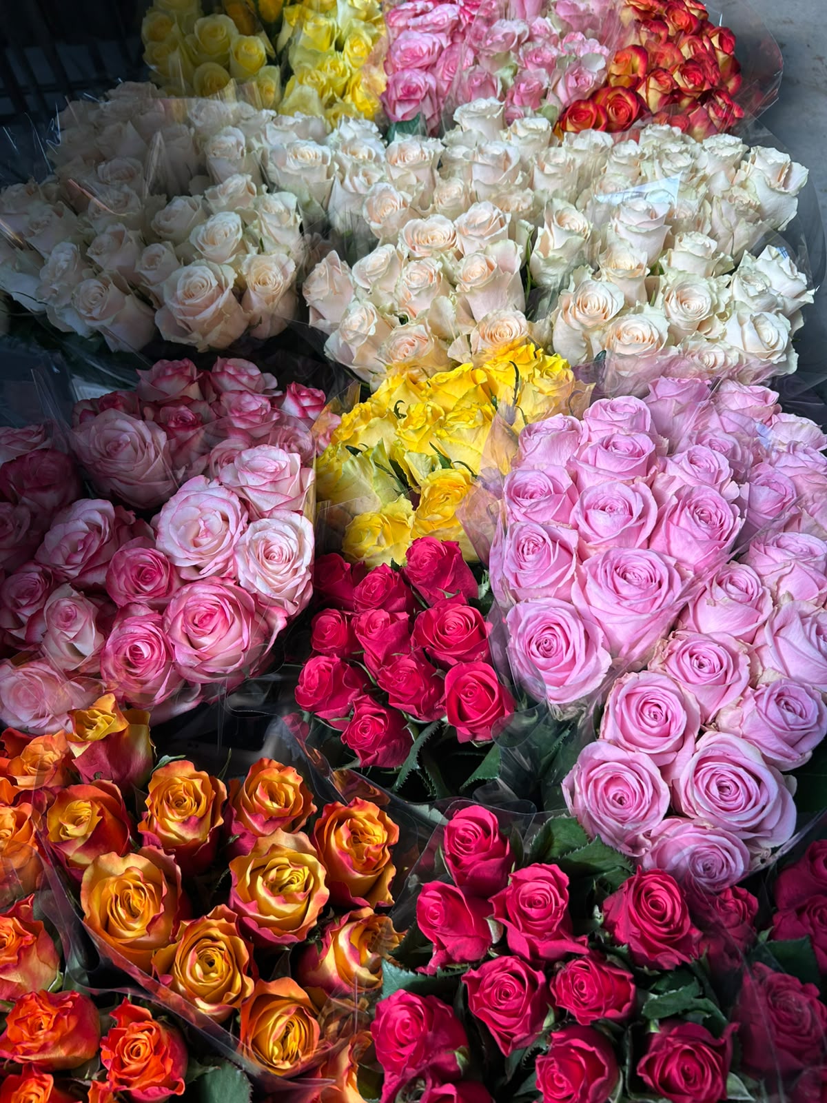 Casa Bella Rosa Schnupper-Box (Frischer Blumen- & Grün-Mix) – Dein XL-Überraschungspaket in echter Floristen-Qualität