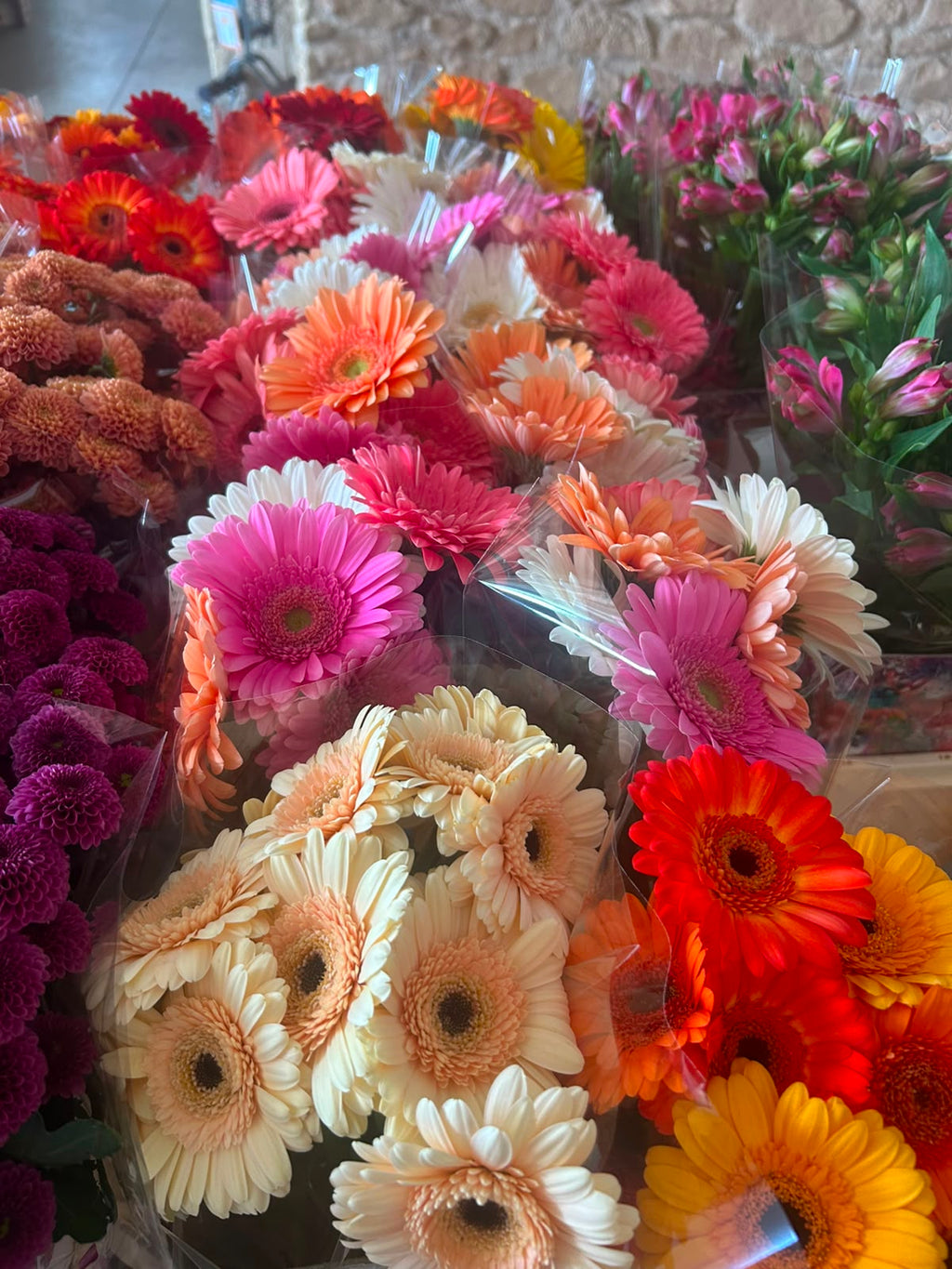 Casa Bella Rosa Schnupper-Box (Frischer Blumen- & Grün-Mix) – Dein XL-Überraschungspaket in echter Floristen-Qualität