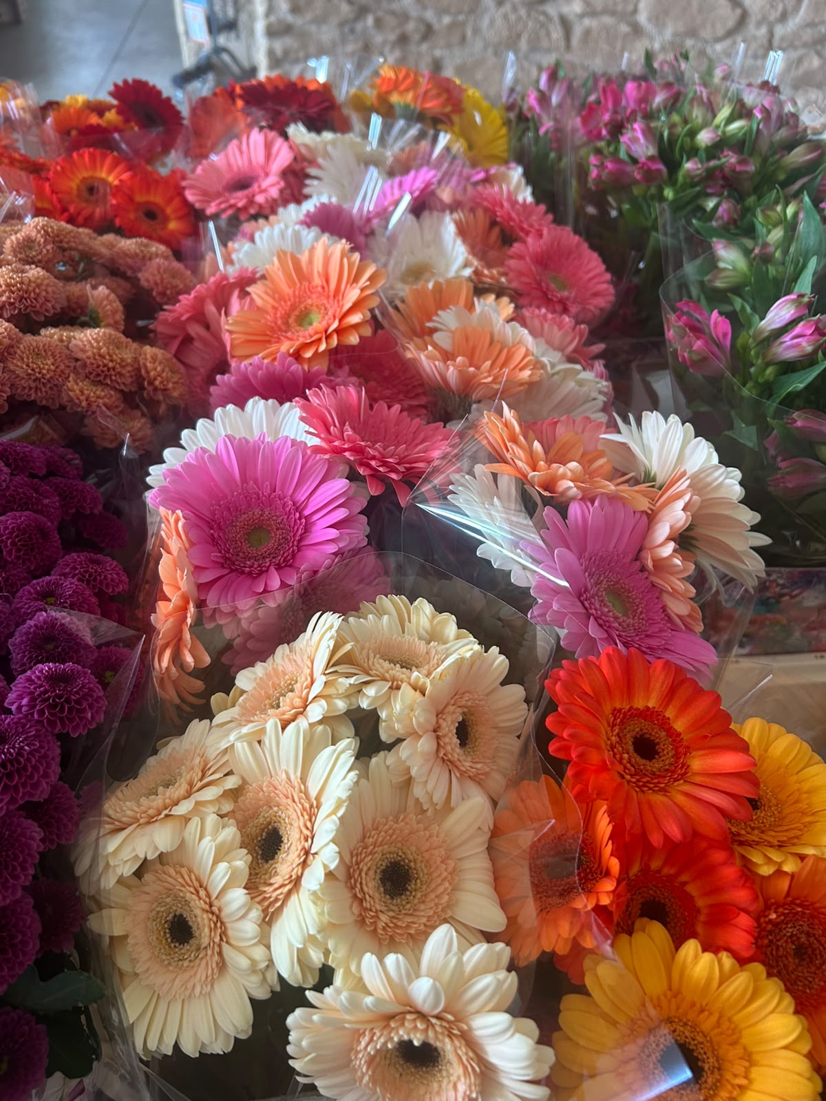 Casa Bella Rosa Schnupper-Box (Frischer Blumen- & Grün-Mix) – Dein XL-Überraschungspaket in echter Floristen-Qualität