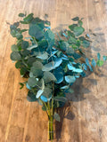 Eukalyptus 'Cinerea' – Der Hochzeits-Klassiker (200 Gramm Bund)