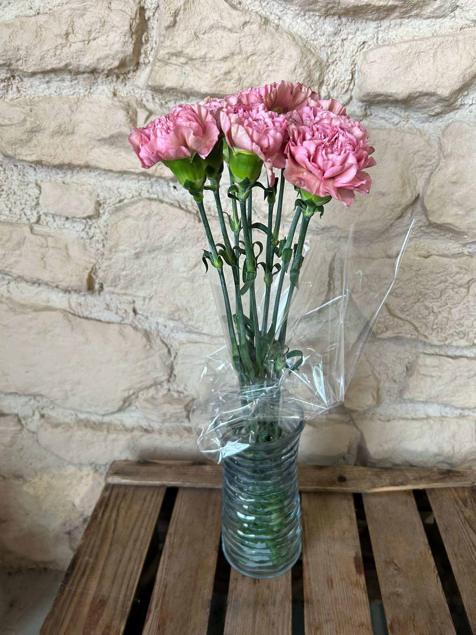 Nelke 'Lege Pink' – Der edle Vintage-Traum in geheimnisvollem Mauve-Rosa für stilvolle Dekorationen (10er-Bund)
