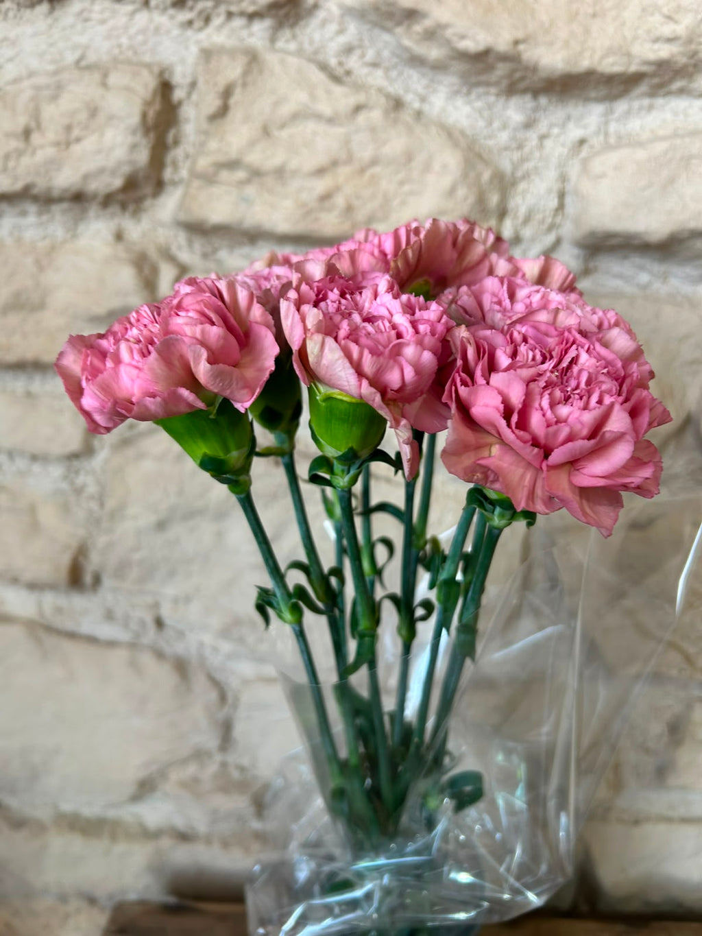 Nelke 'Lege Pink' – Der edle Vintage-Traum in geheimnisvollem Mauve-Rosa für stilvolle Dekorationen (10er-Bund)