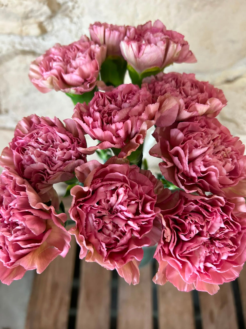 Nelke 'Lege Pink' – Der edle Vintage-Traum in geheimnisvollem Mauve-Rosa für stilvolle Dekorationen (10er-Bund)