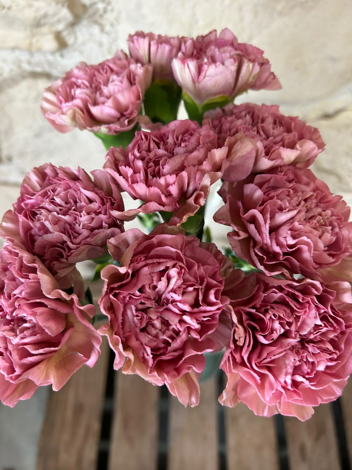 Nelke 'Lege Pink' – Der edle Vintage-Traum in geheimnisvollem Mauve-Rosa für stilvolle Dekorationen (10er-Bund)