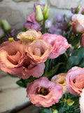 Lisianthus 'Light Pink' (Eustoma) – Der filigrane Seidentraum in softem Rosé für romantische DIY-Hochzeiten (10er-Bund
