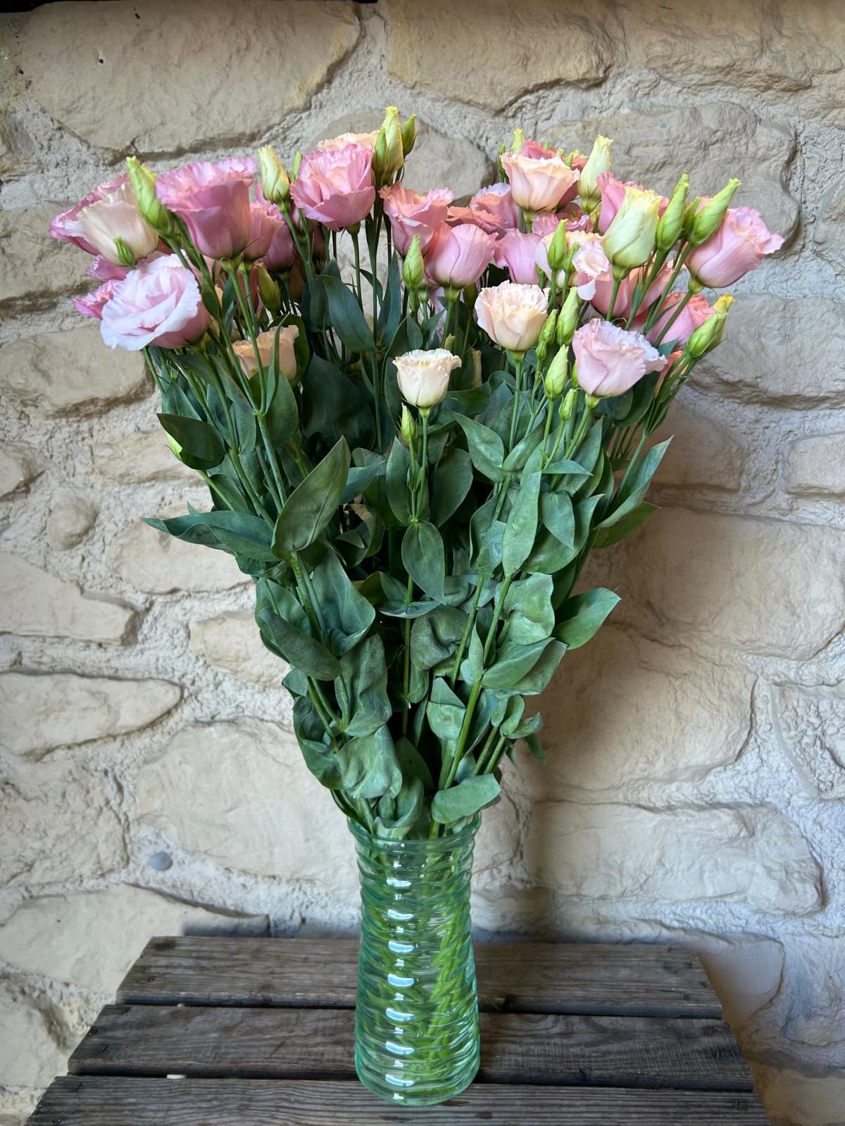 Lisianthus 'Light Pink' (Eustoma) – Der filigrane Seidentraum in softem Rosé für romantische DIY-Hochzeiten (10er-Bund
