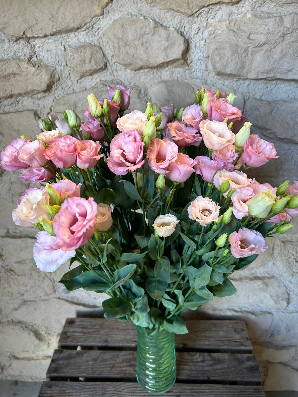 Lisianthus 'Light Pink' (Eustoma) – Der filigrane Seidentraum in softem Rosé für romantische DIY-Hochzeiten (10er-Bund