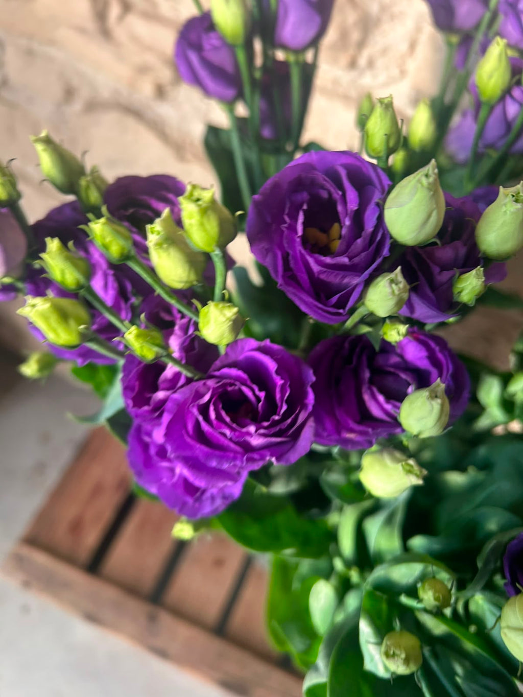 Lisianthus 'Rosita Blue' (Violett-Blau) – Der gefüllte High-End-Seidentraum in edlem Lavendel-Blau für charakterstarke Dekorationen (10er-Bund)