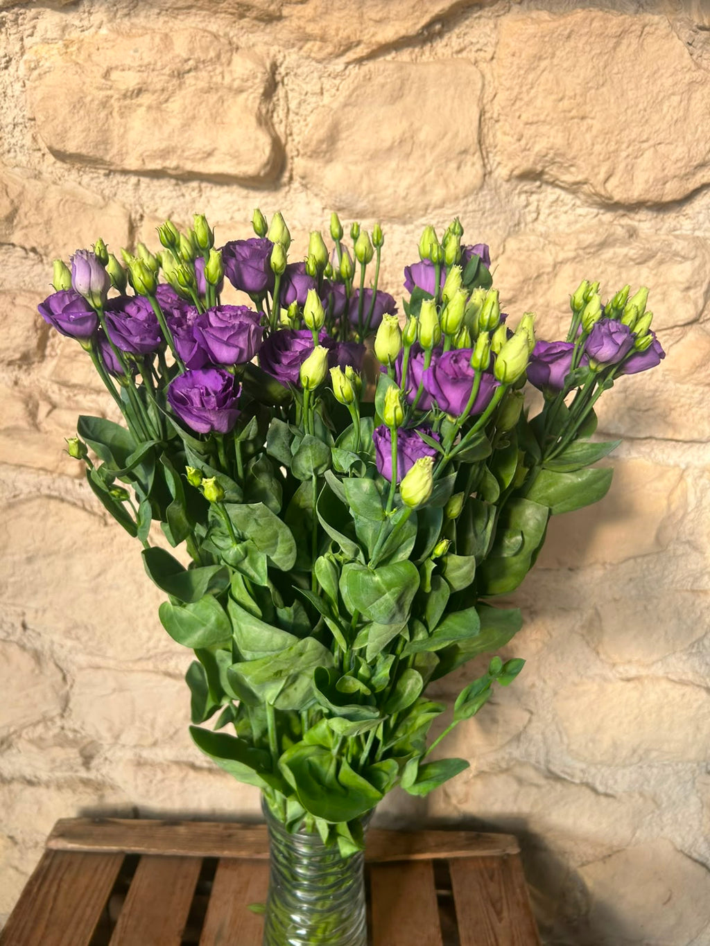 Lisianthus 'Rosita Blue' (Violett-Blau) – Der gefüllte High-End-Seidentraum in edlem Lavendel-Blau für charakterstarke Dekorationen (10er-Bund)