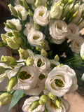 Lisianthus 'Rosita White' (Reinweiß) – Der gefüllte High-End-Seidentraum für zeitlose und elegante Hochzeitsfloristik (10er-Bund)