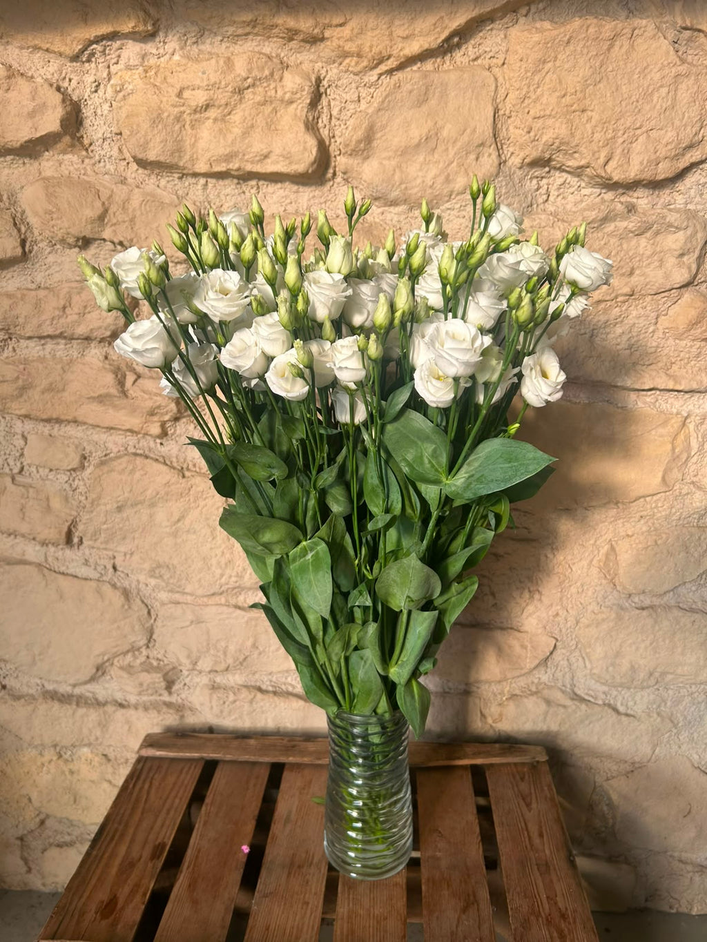 Lisianthus 'Rosita White' (Reinweiß) – Der gefüllte High-End-Seidentraum für zeitlose und elegante Hochzeitsfloristik (10er-Bund)