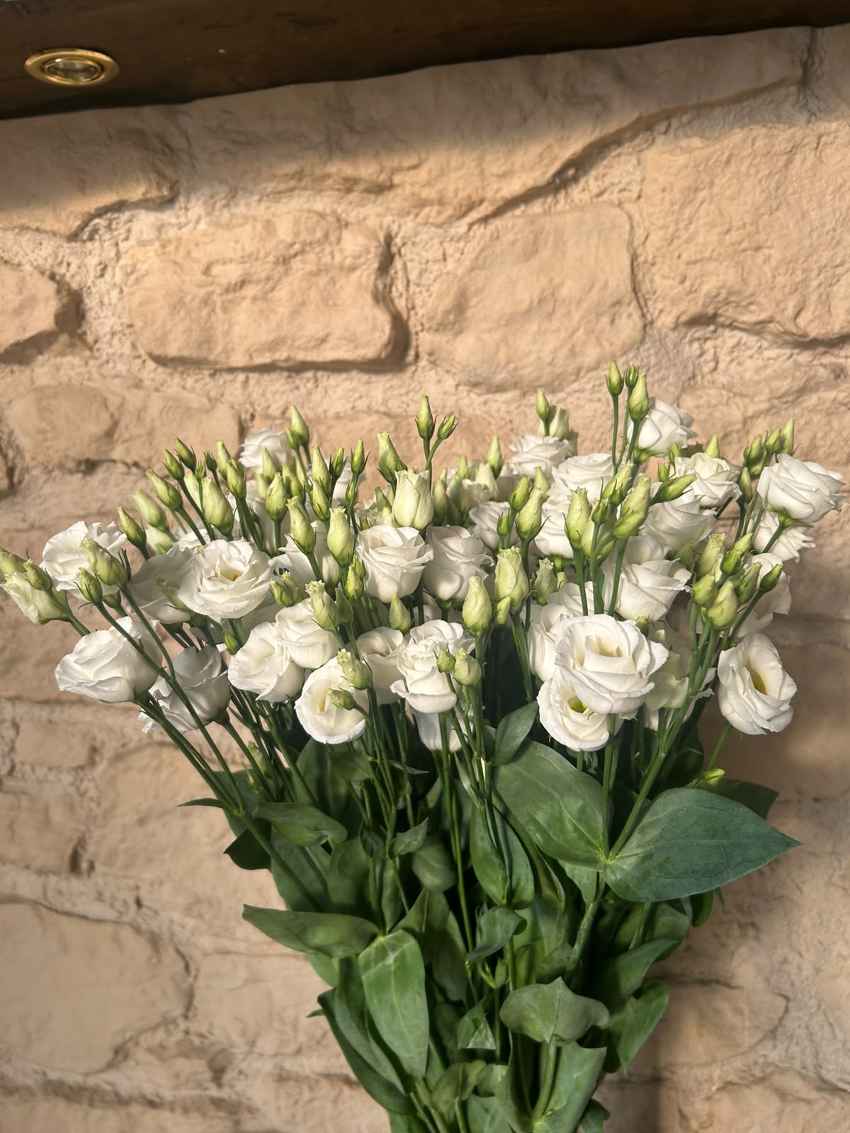 Lisianthus 'Rosita White' (Reinweiß) – Der gefüllte High-End-Seidentraum für zeitlose und elegante Hochzeitsfloristik (10er-Bund)