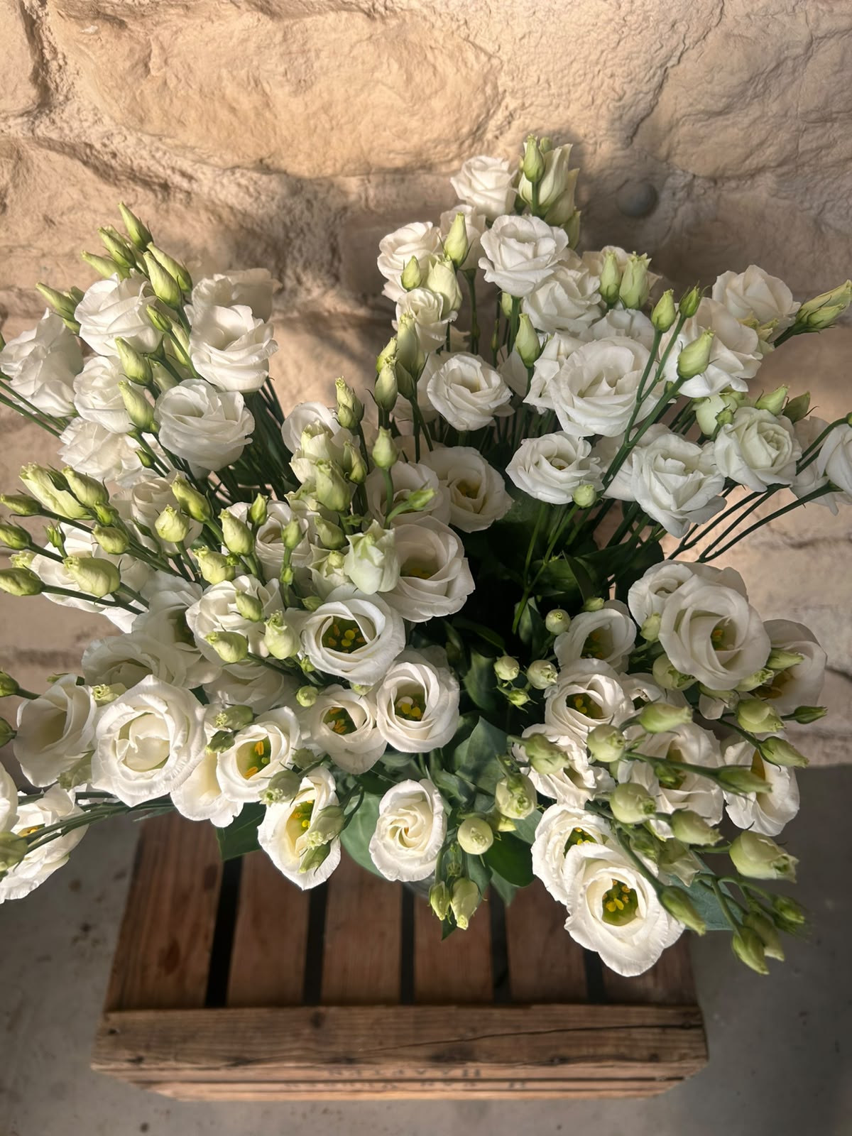 Lisianthus 'Rosita White' (Reinweiß) – Der gefüllte High-End-Seidentraum für zeitlose und elegante Hochzeitsfloristik (10er-Bund)
