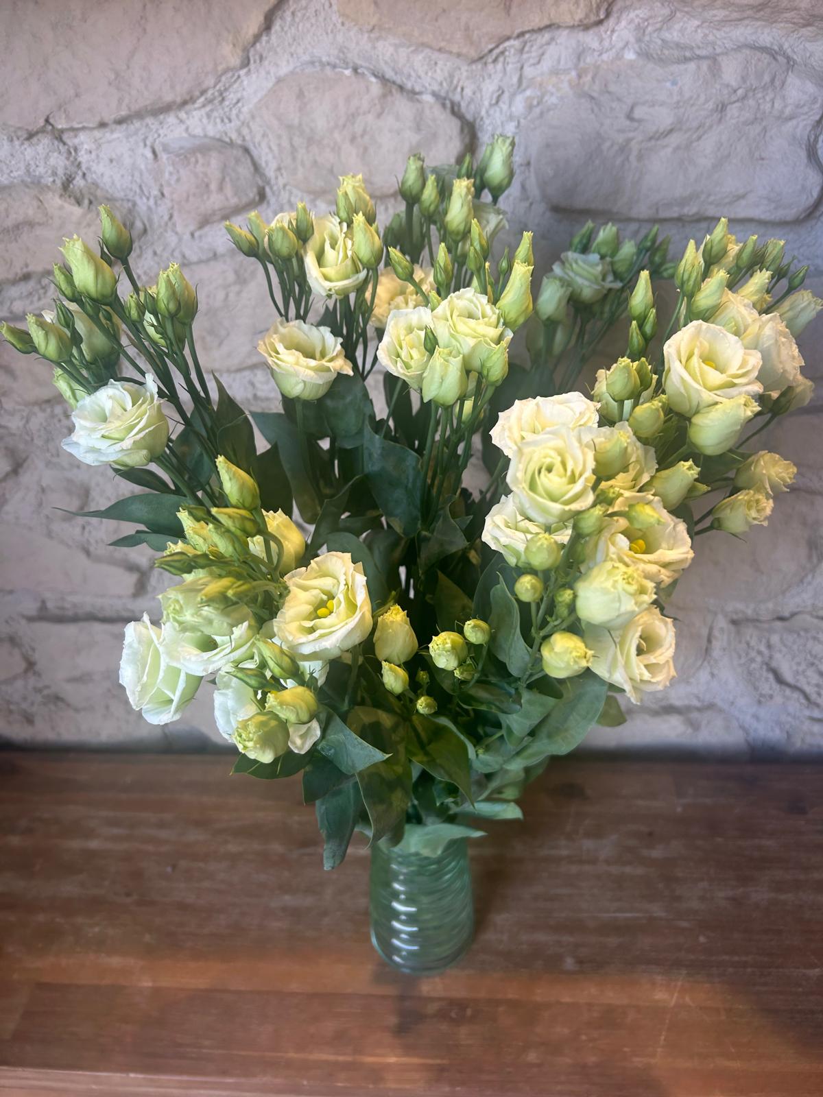 Lisianthus 'Rossi Green' (Limetten-Grün) – Das extravagante Vintage-Wunder für moderne DIY-Greenery-Hochzeiten (10er-Bund)