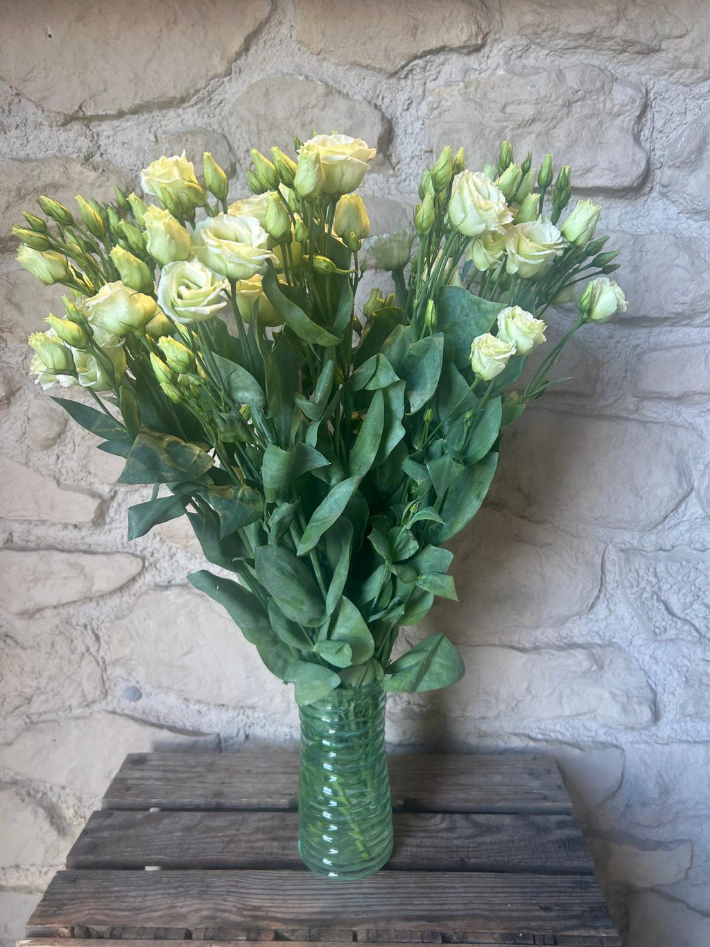 Lisianthus 'Rossi Green' (Limetten-Grün) – Das extravagante Vintage-Wunder für moderne DIY-Greenery-Hochzeiten (10er-Bund)