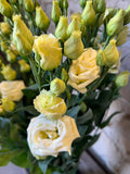 Lisianthus 'Rossi Yellow' (Creme-Gelb / Vanille) – Der pastellige Romantik-Traum in softem Buttercream für deine DIY-Hochzeit (10er-Bund)