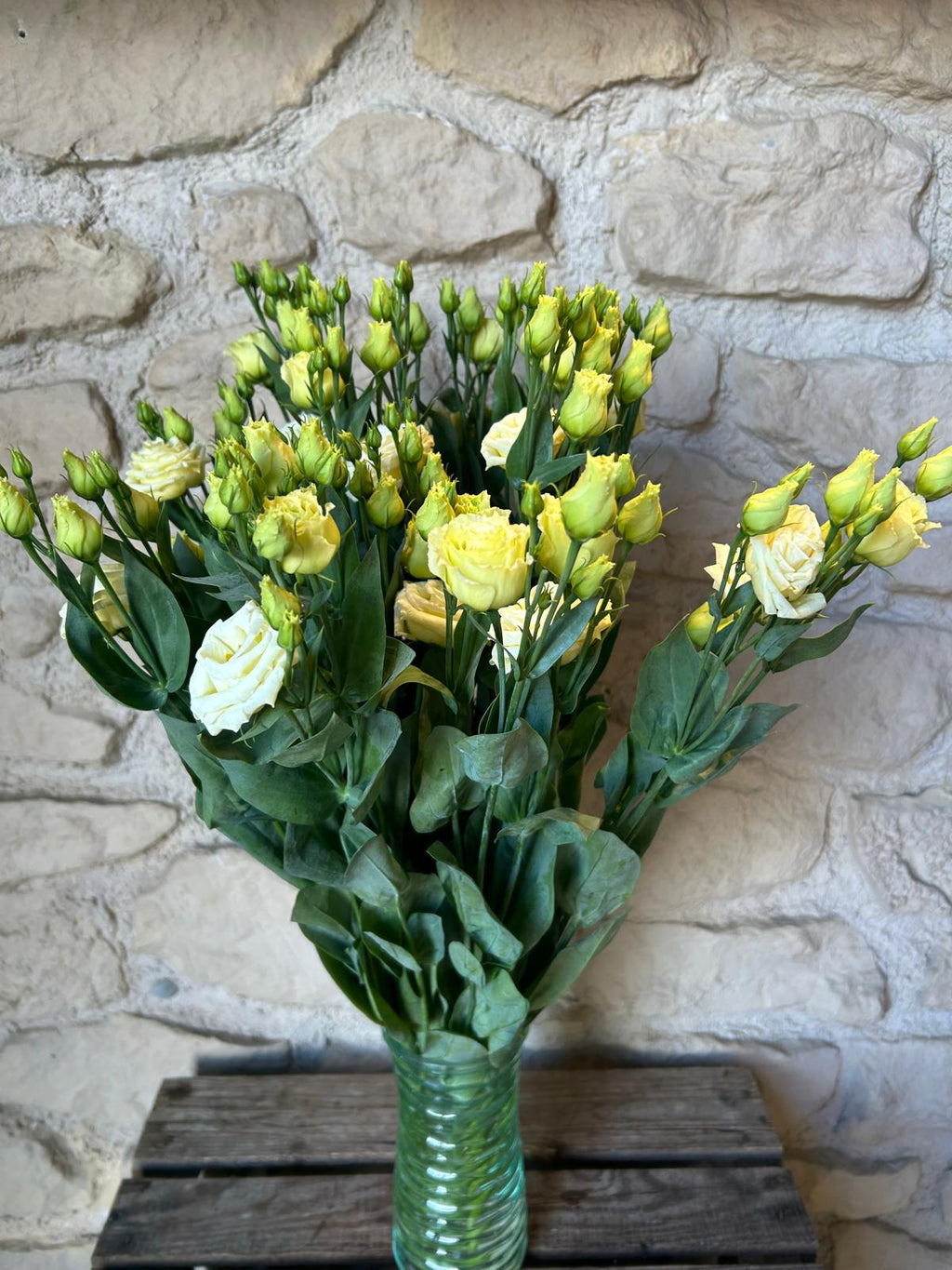 Lisianthus 'Rossi Yellow' (Creme-Gelb / Vanille) – Der pastellige Romantik-Traum in softem Buttercream für deine DIY-Hochzeit (10er-Bund)