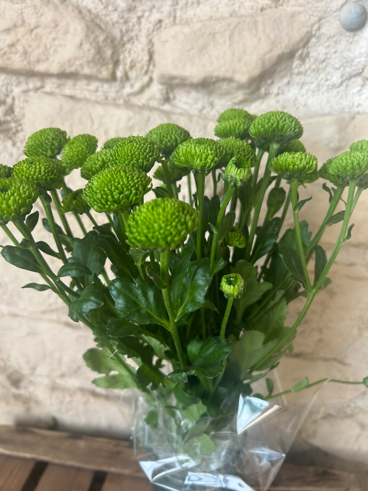 Santini Country – Grüne Mini-Chrysantheme | 5 Stiele