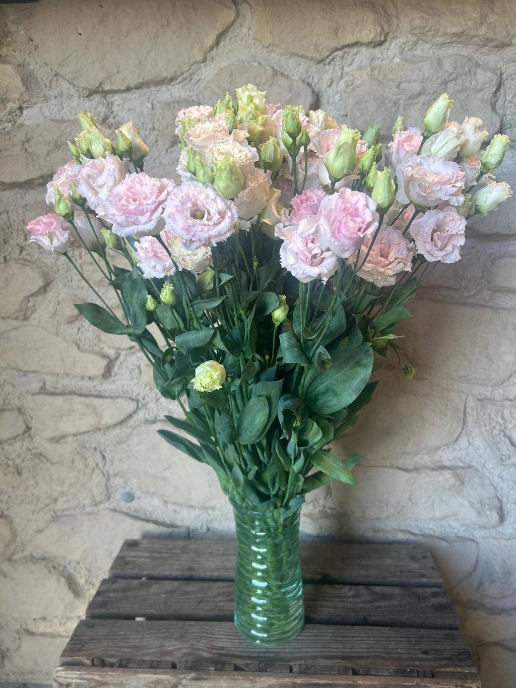 Lysianthus 'Wedding Pink' (Edel-Rosa) – Der gefüllte Premium-Seidentraum für deine DIY-Hochzeitsfloristik (10er-Bund)