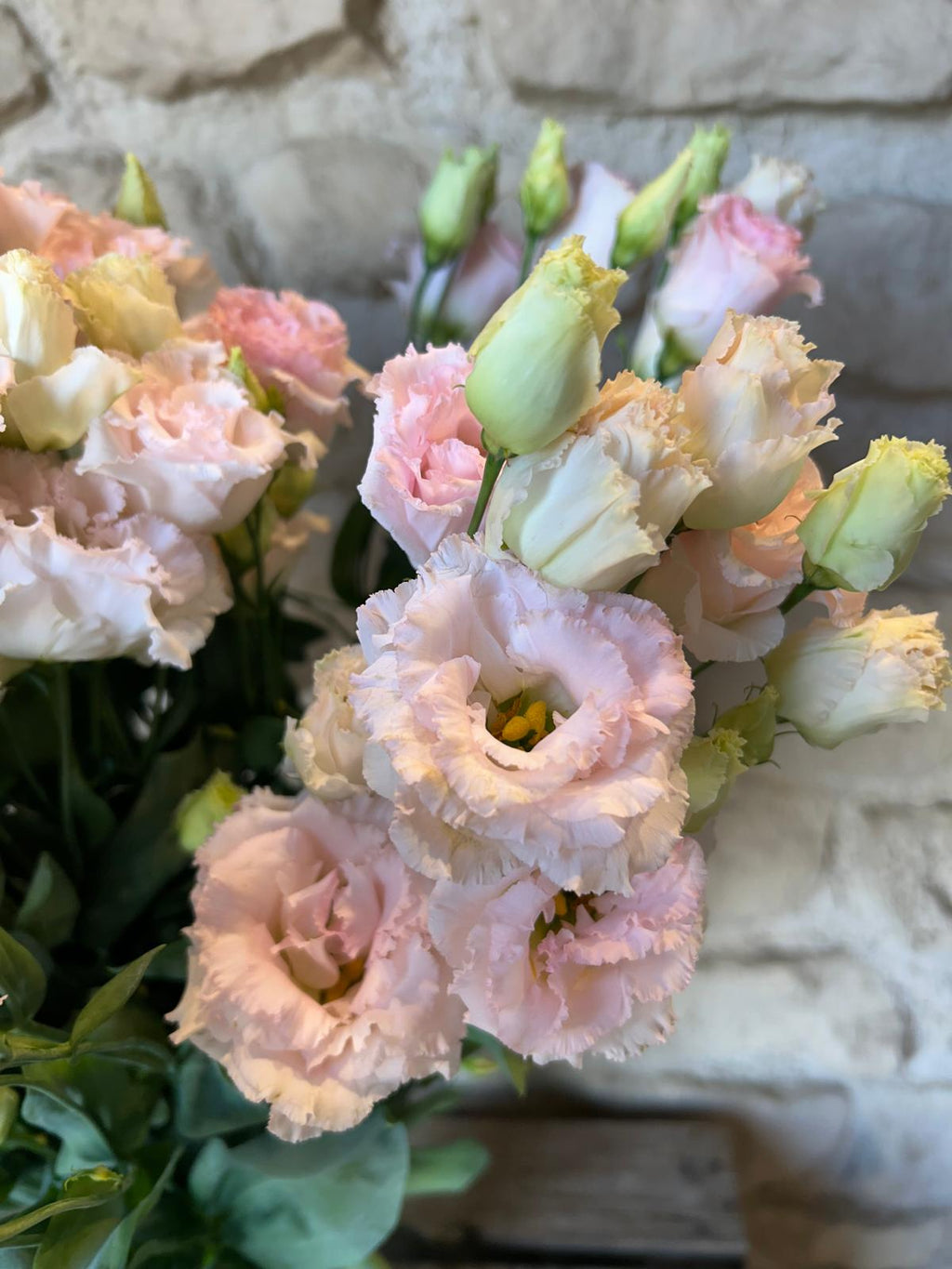 Lysianthus 'Wedding Pink' (Edel-Rosa) – Der gefüllte Premium-Seidentraum für deine DIY-Hochzeitsfloristik (10er-Bund)