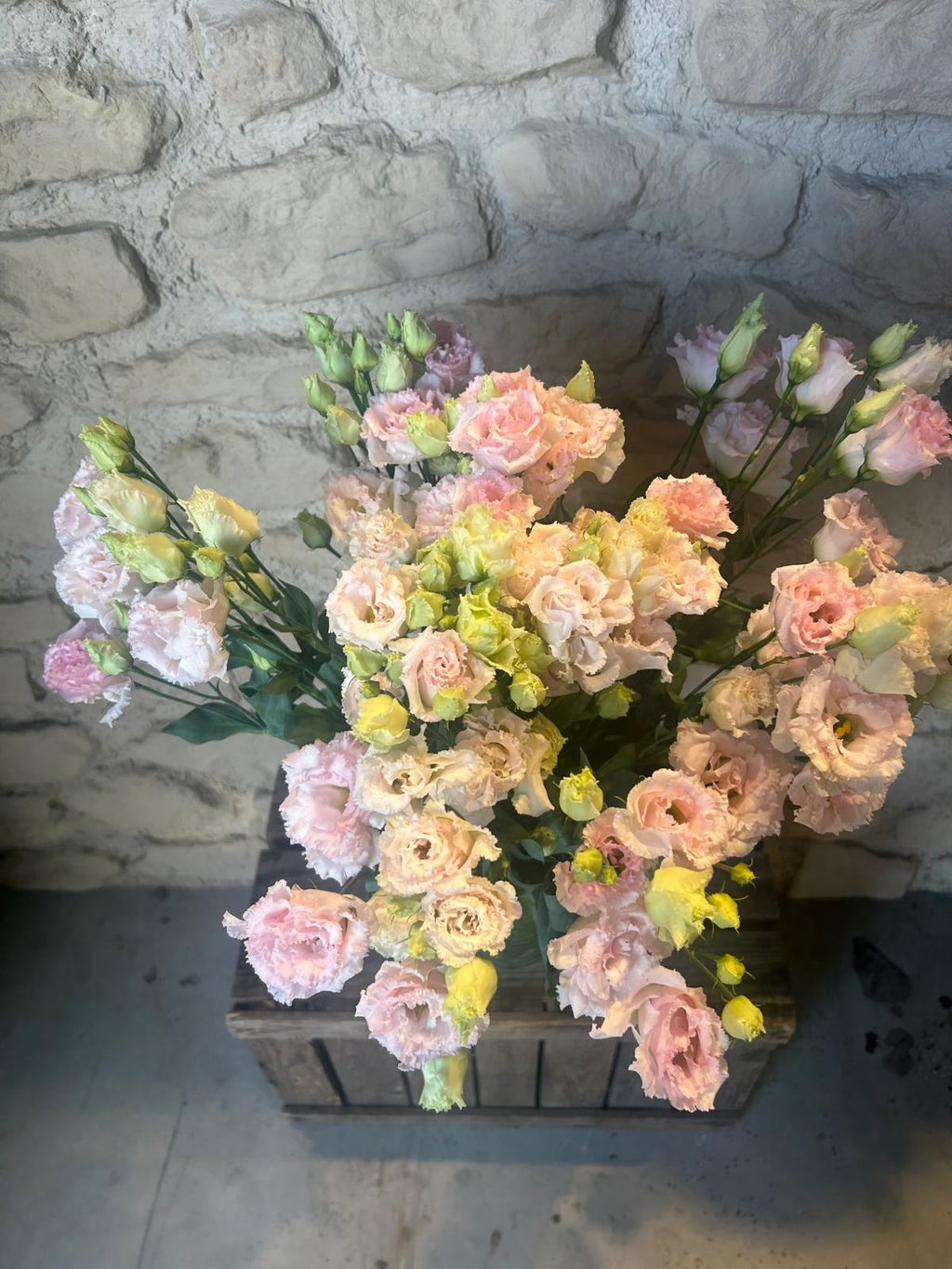 Lysianthus 'Wedding Pink' (Edel-Rosa) – Der gefüllte Premium-Seidentraum für deine DIY-Hochzeitsfloristik (10er-Bund)